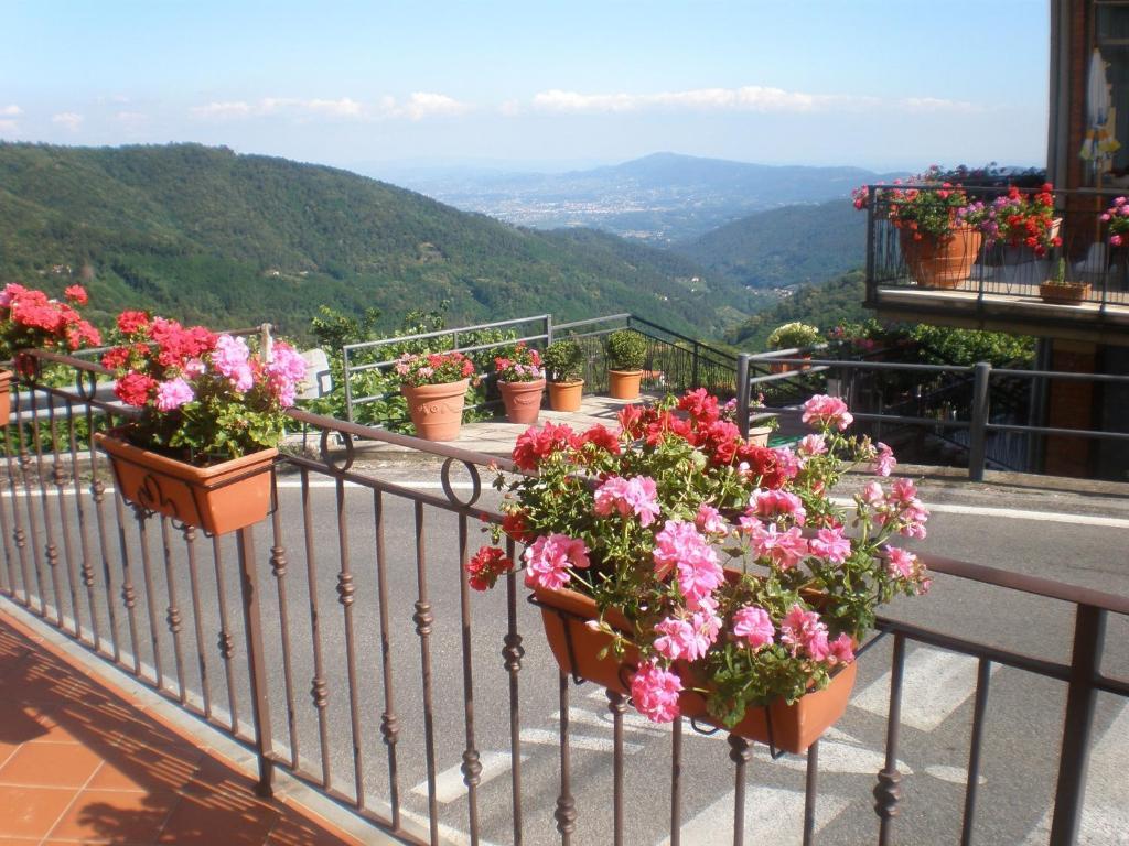 Ristorante Amelia 2*